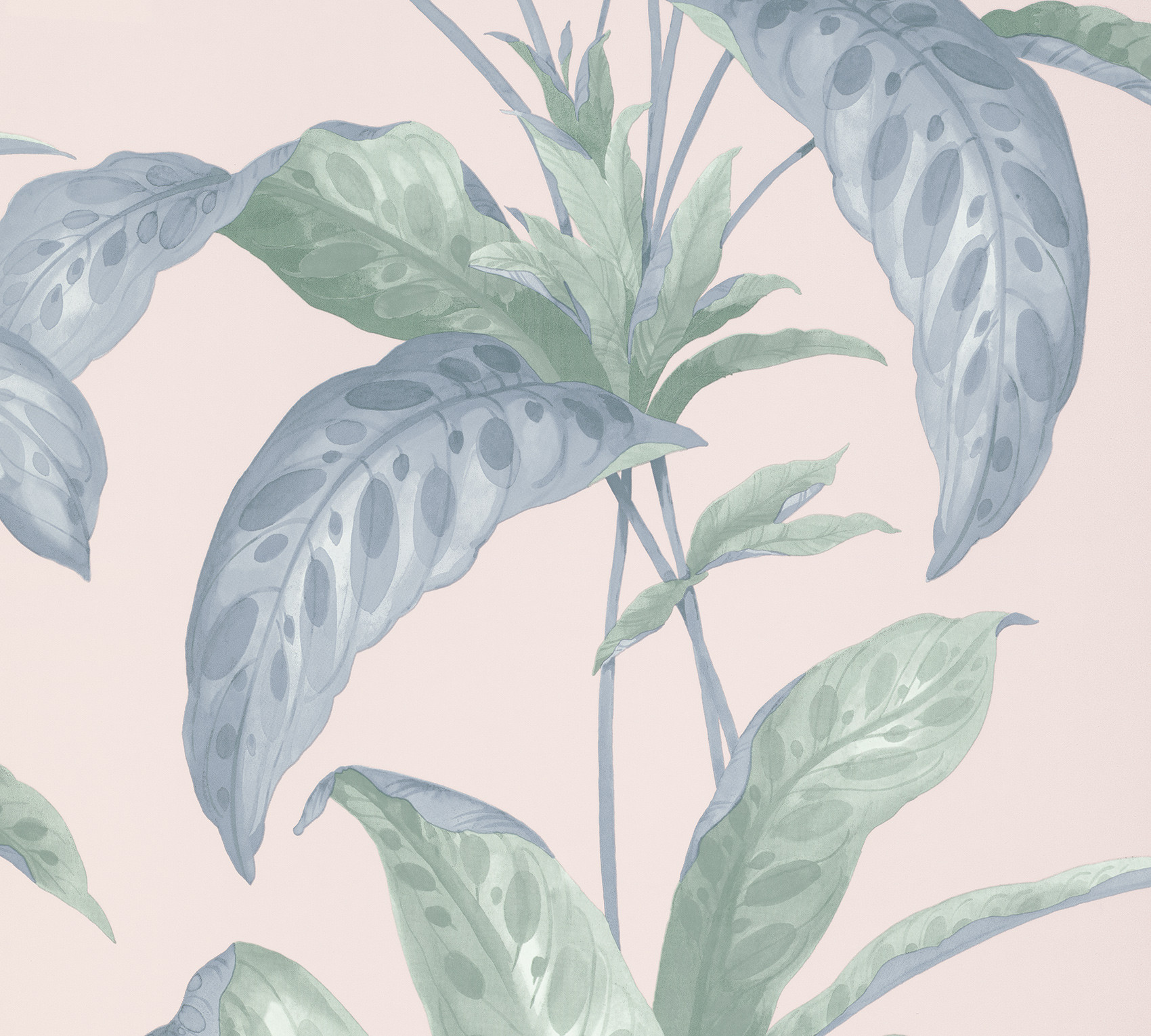 Обои Paint & Paper Library Botany Tropicane Plaster 0360TRPLAST